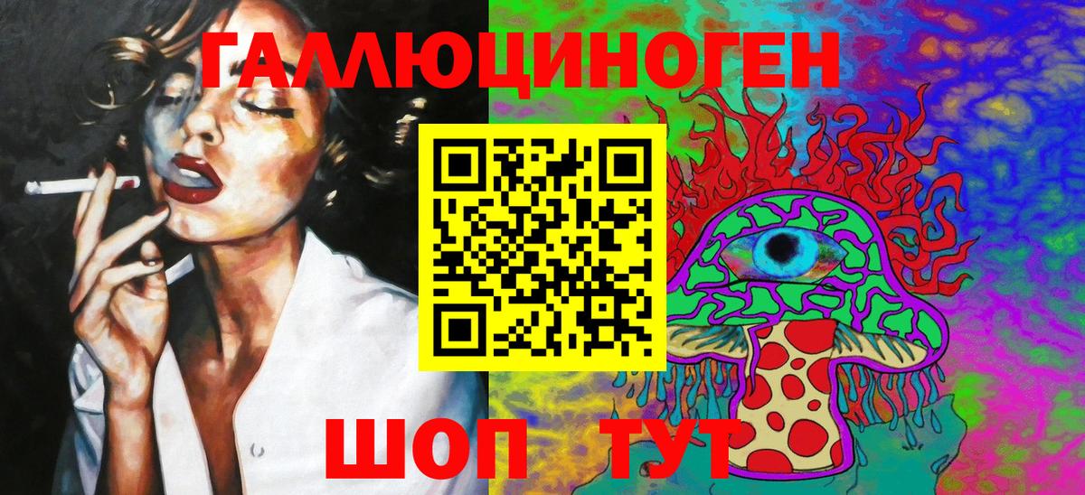 Ейск  где можно купить   Вход с VPN  Галлюциногенные грибы Magic Shrooms  Галлюциногенные грибы Psilocybe 