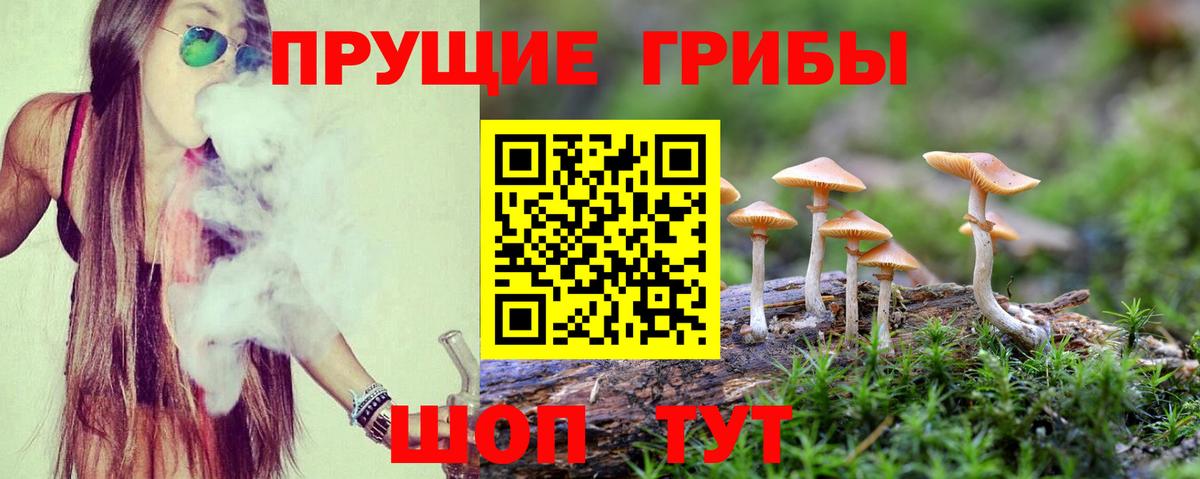Галлюциногенные грибы Cubensis Ейск